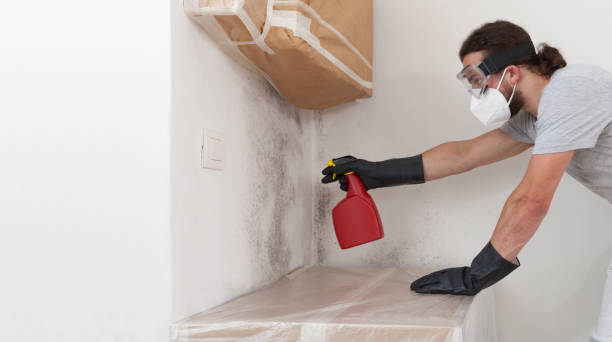 Professional Attic Mold Remediation technician working in Georgetown, TX