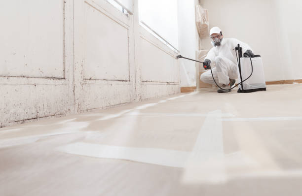 24/7 Emergency Attic Mold Remediation experts in Georgetown, TX