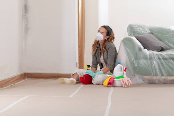 Reliable Attic Mold Remediation contractor in Georgetown, TX by Mold Remediation HQ